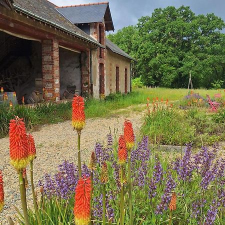 Ecolodges De Loire & Spa Gennes-Val-de-Loire Eksteriør bilde