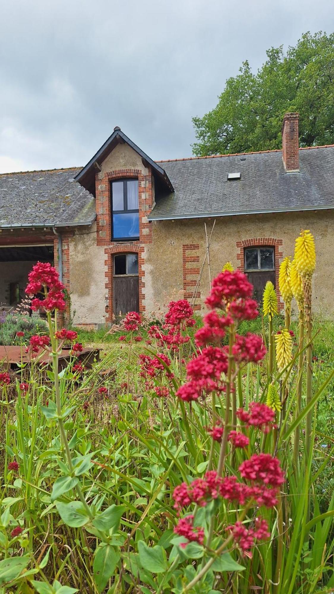 Ecolodges De Loire & Spa Gennes-Val-de-Loire Eksteriør bilde