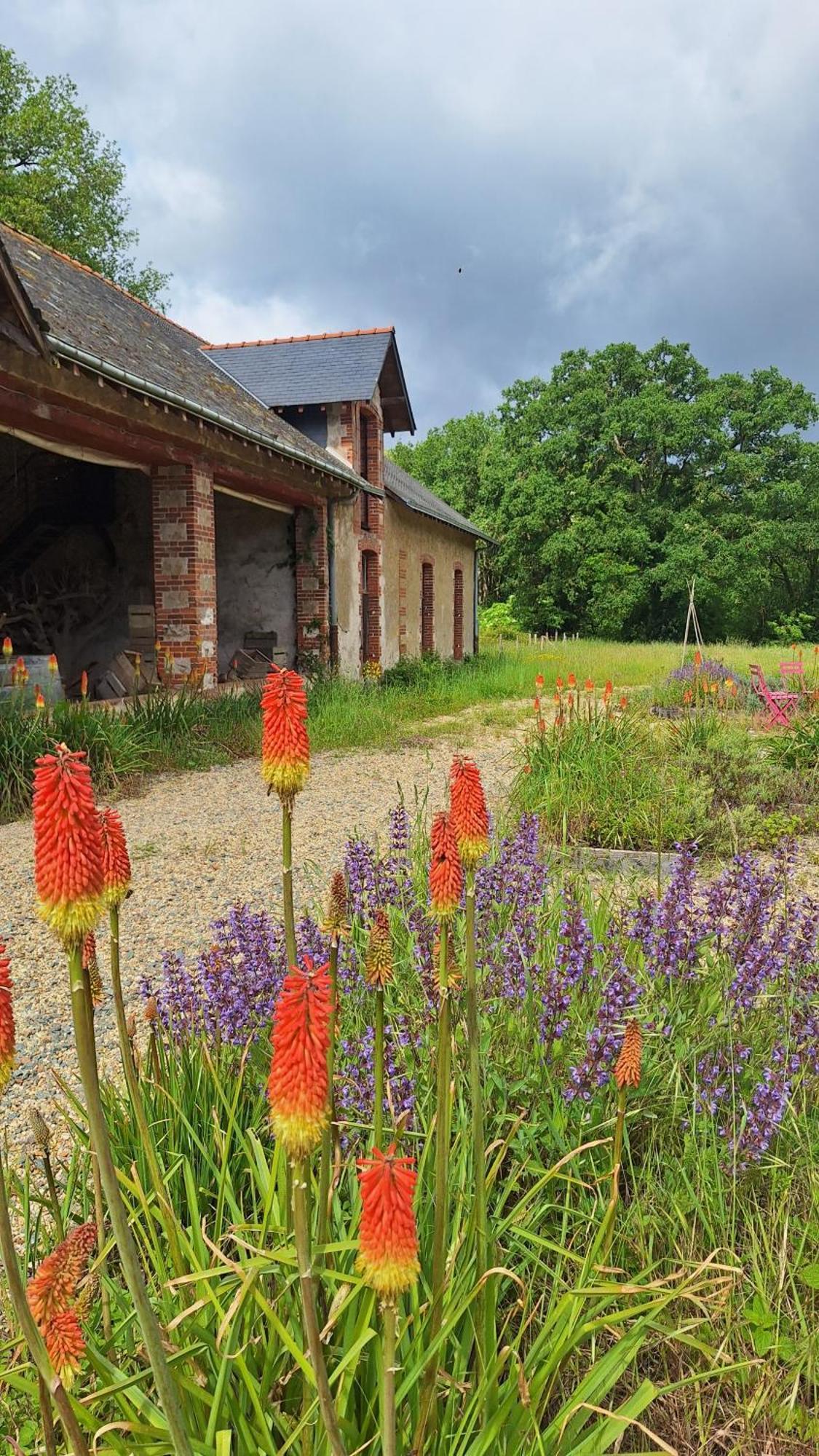 Ecolodges De Loire & Spa Gennes-Val-de-Loire Eksteriør bilde