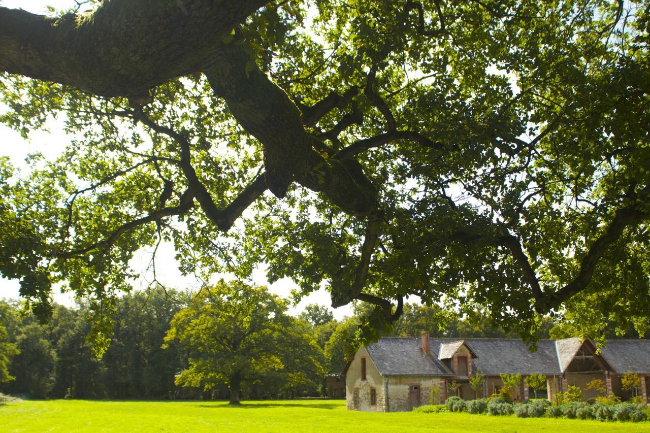 Ecolodges De Loire & Spa Gennes-Val-de-Loire Eksteriør bilde